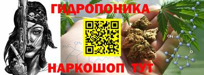 спиды Лесосибирск